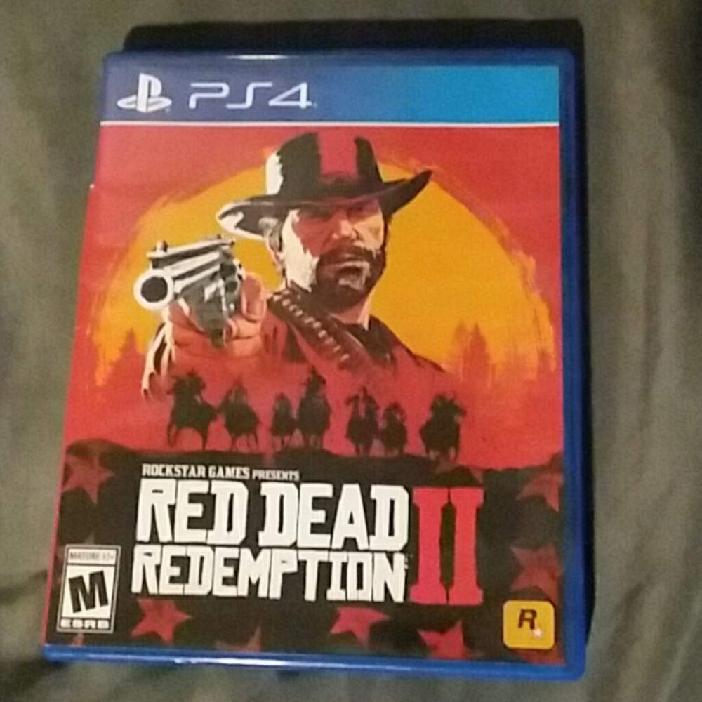 Video Game- Red Dead Redemption 2 on PS4